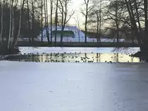 See im Westend Park (vermutlich Schwansee) von Franzensbad (Frantiskovy Lazne ) am 16. Februar 2019