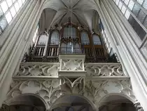 Wien, Orgelempore in der Kirche Maria am Gestade, Orgel erbaut 1911 von dem Orgelbauer Matth�us Mauracher jun. (20.04.2019)