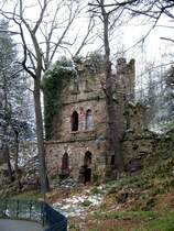 Die Ruine der alten Gattersburg in Grimma, die zwischenzeitlich als Behausung f�r B�ren diente. 23.03.08