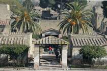 300 Jahre arch�ologische Ausgrabungen gaben viel Platz f�r die Entwicklung der Vegetation. Durch Palmen und B�sche bekommt die antike Ruinenstadt so ein lebendiges Aussehen. 