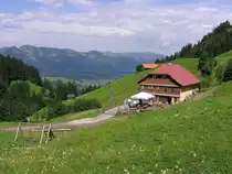 Untere Richtersalpe oberhalb von Reichenbach (Landkreis Oberallg�u - Juli 2005)