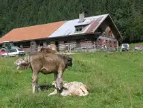 Die Alpe Vors�� III liegt weiter hinten im Tal hinter Gunzesried-S�ge im Aubachtal (Gemeinde Blaichach, Landkreis Oberallg�u - August 2005)