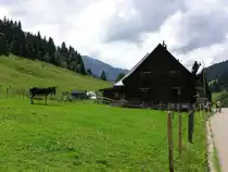Alpe Schattwald bei Rohrmoos (Ortsteil von Oberstdorf, Kreis Oberallg�u - August 2006)