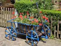 Engen, kleiner blumengeschm�ckter Leiterwagen in der Sammlungsgasse (25.05.2017)