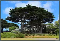 H�lzerne Wohnh�user in Flinders, Victoria. (31.12.2019) 