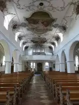 W�rth an der Donau, Orgelempore und Deckengem�lde in der Pfarrkirche St. Peter (02.06.2017)