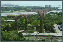 Blick von einem der  Super Trees  auf den Silver Garden der Gardens of the Bay und die k�nstlich aufgesch�ttete Halbinsel Marina East in Singapur. (11.01.2020)