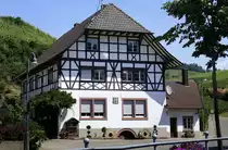 Durbach, eins von vielen sch�nen Weing�tern im Ort, Juni 2020