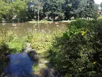 Im Stadtgarten Castrop am 27.07.2020. 
Castrop-Rauxel ist eine gro�e kreisangeh�rige Stadt im Kreis Recklinghausen im Regierungsbezirk M�nster in Nordrhein-Westfalen.