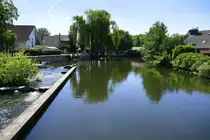 Willst�tt, Blick vom Stauwehr in der Stadt auf die angestaute Kinzig, Mai 2020