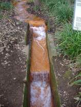  Roter Bach  aus der Zeche Gl�ckaufsegen im Rombergpark Dortmund