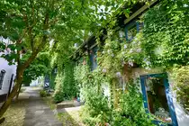 Im K�nstlerhof an der Norderstra�e in Flensburg. Aufnahme: 11. Juli 2020.