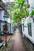 Krusehof in der Roten Stra�e in der Flensburger Innenstadt. Die Rote Stra�e l�dt mit ihren h�bschen, individuellen Gesch�ften und Kaufmannsh�fen zum Bummeln ein. Die restaurierten Geb�ude und  L�dchen lassen einen Besuch zu einem Erlebnis werden. Aufnahme: 11. Juli 2020.