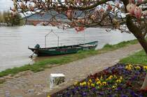 eine kleine �berraschung am Miltenberger Mainufer - die Titanic lebt.