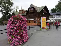 Zakopane, Blumenschmuck in der Krupowki Stra�e (02.09.2020)