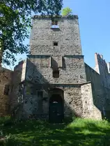 Drzewica, Schlossruine, erbaut von 1527 bis 1535 f�r den Erzbischof von Gnesen, 1814 brannte das Schloss aus und wurde dem Verfall preisgegeben (14.06.2021)