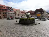 Bernstadt a. d. Eigen, Brunnen und H�user am Markt (17.09.2021)