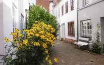 Hellgr�ner Gang am Engelswisch in der L�becker Altstadt. Aufnahme: 21. August 2021.