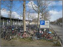 Rings um den G�ttinger Bahn- und Busbahnhof sind nahezu alle freien Fl�chen, vor allem rings um die B�ume, mit Fahrr�dern zugestellt. Die hier gezeigte Fl�che ist sogar regul�r als Fahrrad-Parkplatz deklariert. Auf dem Schild wird angedroht, alle Fahrr�der kostenpflichtig zu entfernen, die an B�umen oder au�erhalb der Parkzonen abgestellt werden. (23.03.2008)