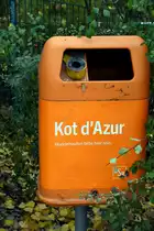 BERLIN, 17.10.2019, gesehen in Berlin-Wei�ensee