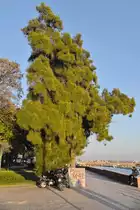 OLH�O (Concelho de Olh�o), 22.02.2020, an der Mole neigt sich der Tag dem Ende zu