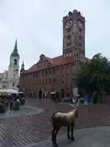 Torun / Thorn, Museum Okregowe im alten Rathaus am Altst�dtisches Markt (06.08.2021)