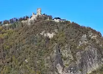 Siebengebirge - Drachenfels mit Burgruine, Restaurant und Aussichtspunkt - 09.11.2021
