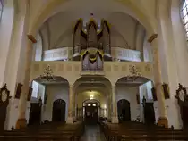 Salm�nster, Orgelempore in der St. Peter und Paul Kirche (30.10.2021)