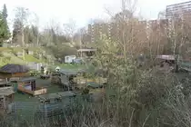 Hamburg am 8.1.2022: erstes Fr�hlingszeichen an einem p�dagogisch betreuten Bauspielplatz im Stadtteil Billstedt /
