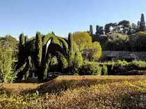 Ein Brunnen inmitten der Gr�nanlagen des Jardins de Laribal in Barcelona. (Februar 2013)
