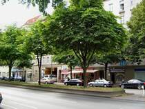 Berlin-WEDDING,
Reinickendorfer Strasse,
JULI 2008