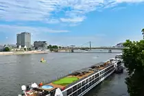 K�ln - Lanxess Hochhaus und Deutzer Br�cke - 19.06.2022