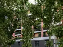 Unsere St�dte m�ssen gr�ner werden, hier ein gutes Beispiel aus Mailand. (Juni 2014)