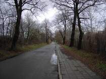 Grunewalder Stra�e, Teil des Oder-Neisse-Radweg, Stadtausw�rts Zustand: 02.03.2008