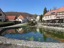 Am Dorfweiher von Saalborn, Weimarer Land (17.04.2022)