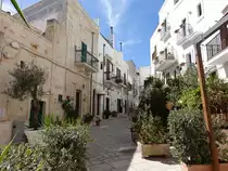 Polignano a Mare, H�user in der Via Nicola Laruccia (28.09.2022)