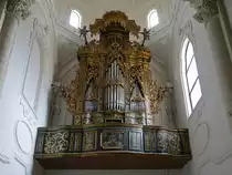 Gravina di Puglia, Orgel in der Pfarrkirche San Francesco (29.09.2022)