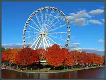 Umgeben von leuchtenden Ahornb�umen steht das Riesenrad La Grande Roue de Montr�al im alten Hafen von Montreal. (10.10.2022)