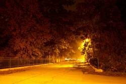 Die Strasse bei Universit�tsturnhalle in Pardubice am Abend 11.10.08