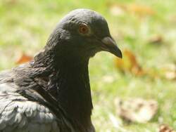 Spa� muss auch mal sein.