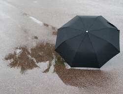 Palmen an der C�te Azur einmal anders...