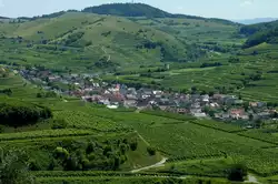 Oberbergen im Kaiserstuhl, der etwa 1000 Einwohner z�hlende bekannte Winzerort wurde 972 urkundlich das 1.Mal erw�hnt, Juli 2011
