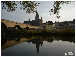       Dieses wundersch�ne Herbstbild gelang mir am 28.10.11 auf der Jahninsel in Regensburg.