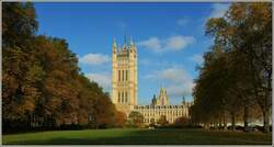 Blick vom Victoria Tower Gardens auf das House of Parlament.