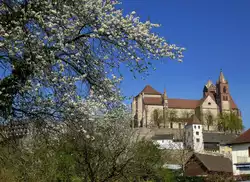 Breisach, Blick vom Rheinufer zum M�nster auf dem Burgberg, M�rz 2014