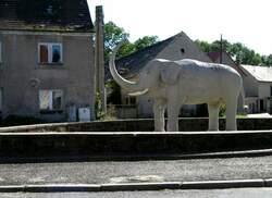 Der K�rener Elefant, 15.09.07