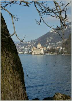 Das Chteau de Chillon am Lac Lman.